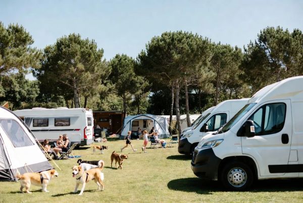 Nos campings campasun où votre chien est le bienvenu