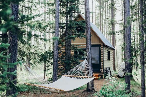 Quelles sont les offres de location de cabanes dans les arbres des campings d'Auvergne ?