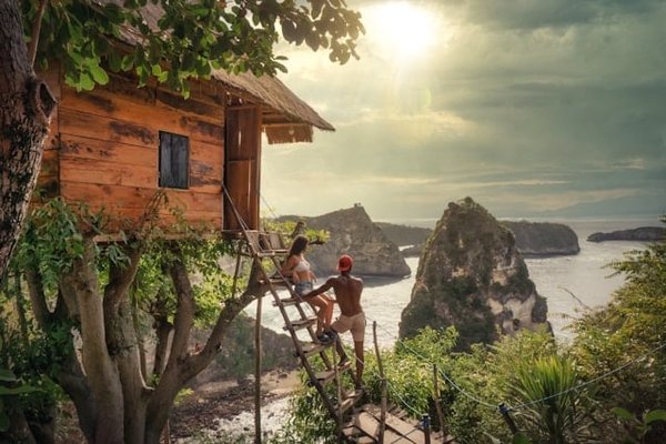 Vivez l'Aventure : Un Séjour Inoubliable dans les Cabanes des Arbres