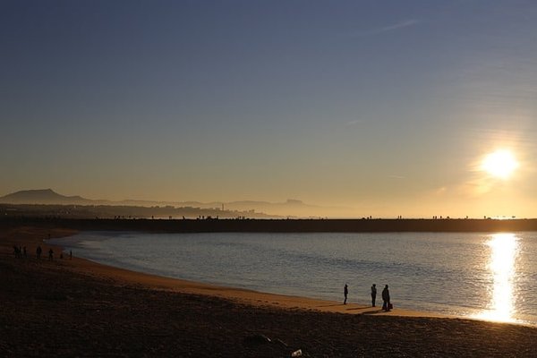 Les cabanes insolites d'Anglet : Votre escapade unique en pleine nature