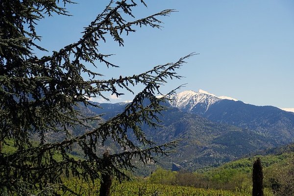 Découvrez les hébergements insolites des Pyrénées-Orientales